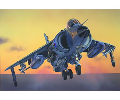 Sea Harrier Frs.1 Falklands