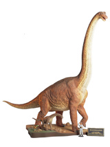 Brachiosaurus Diorama 1/35