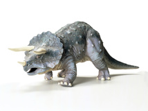 Triceratops Eurycephalus 1/35
