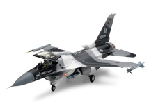 F-16 C/N Aggressor
