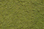 Texture Paint Grass Green
