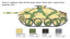 Jagdpanzer 38 (T) Hetzer DISC